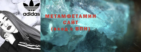 шишки Заволжье
