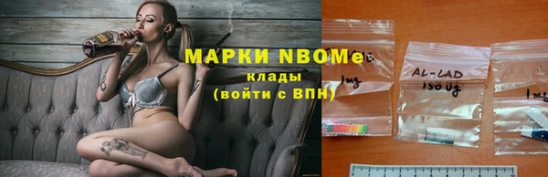 шишки Заволжье