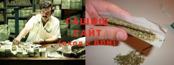 шишки Заволжье