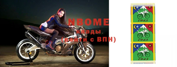 шишки Заволжье
