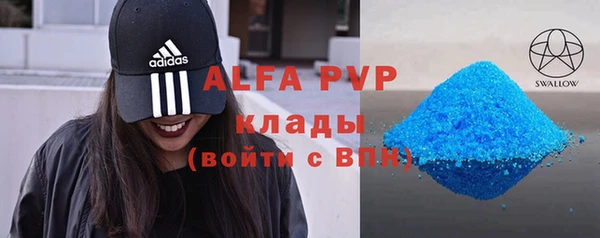 шишки Заволжье