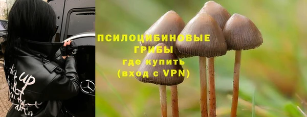шишки Заволжье