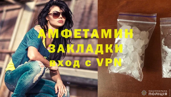 шишки Заволжье