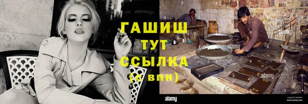 шишки Заволжье