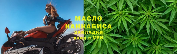 шишки Заволжье